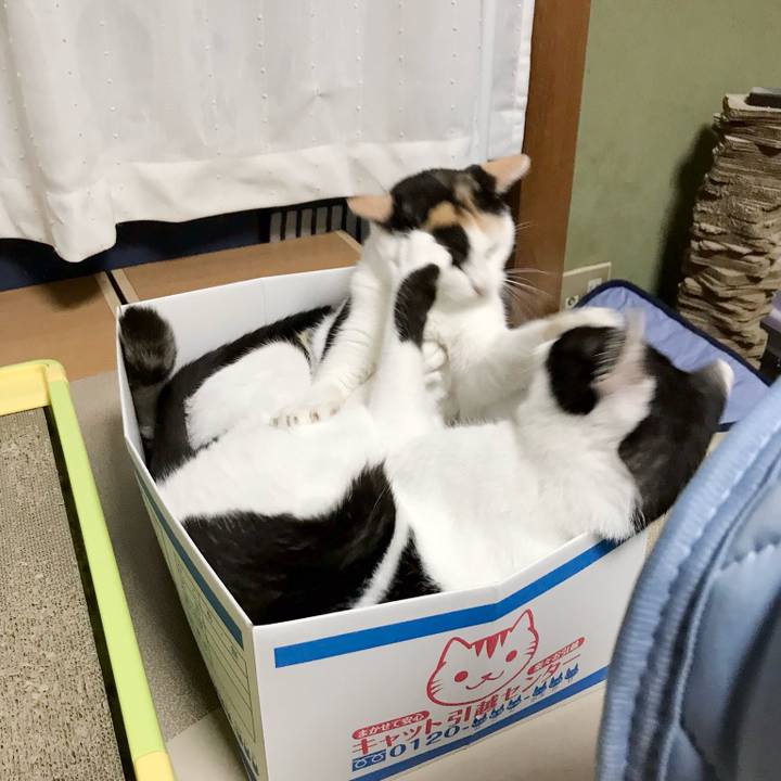 09261162 611b 4cc1 9a5a c4ce665fa9c9 1538014052158