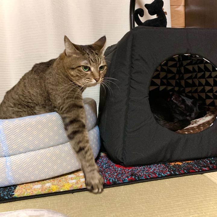 09263400 ad7d 4b2e af96 99ddebc4aae2 1573384198490