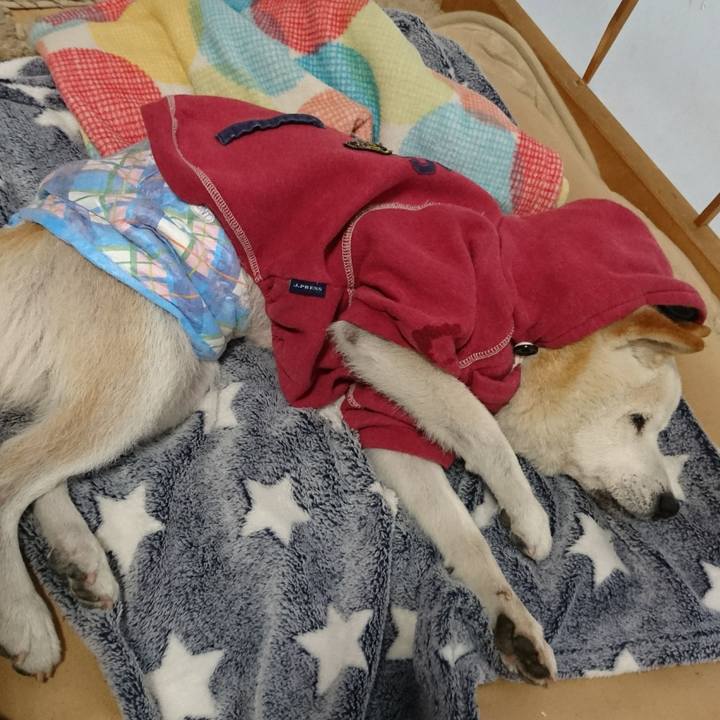 092647f7 17c2 437e a66c 19dec71cfbcf 1513563500970