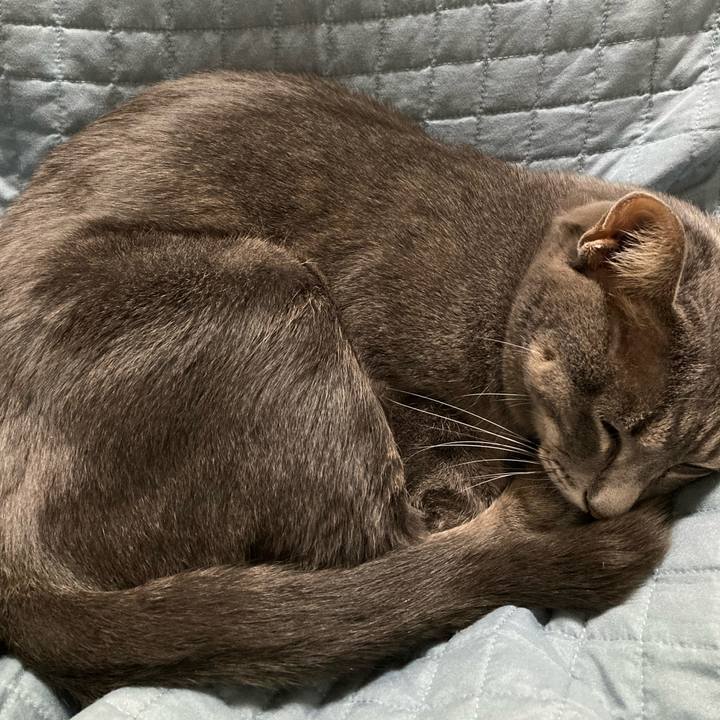 09266c78 7999 405e a4a3 b4cd73017101 1696859859469