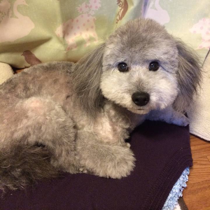 09269ead a131 4fee 99f6 8d88a39ea1f1 1765154822698