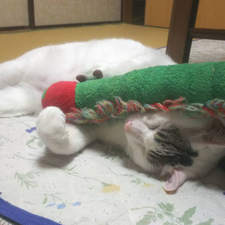 0926d678 7621 4bd5 8a46 a85e12d97699 1556377470132