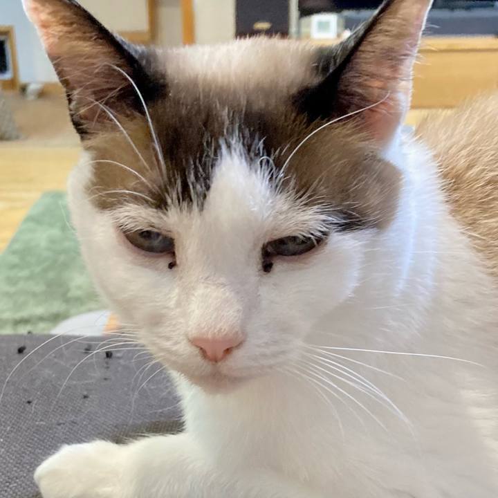 0926fefd 6312 4bfa 8cbe 6e81833206f8 1646133506682