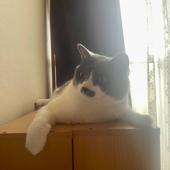 09270d82 e179 4bf8 a868 f5af1c971b9b 1688164825824