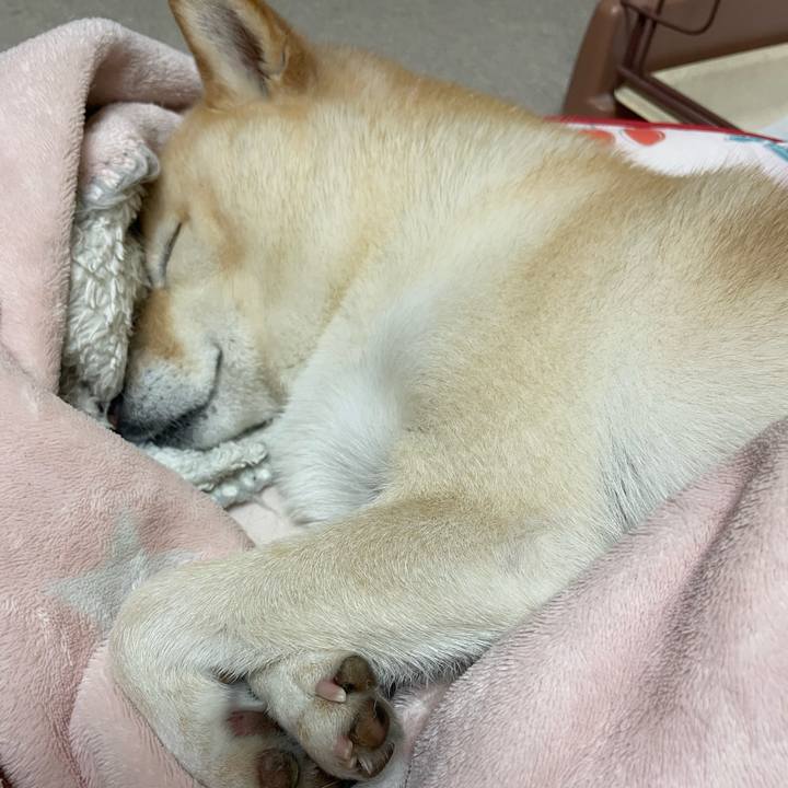 09272f70 40e7 4dc5 92e3 d27f84469d64 1699535612424