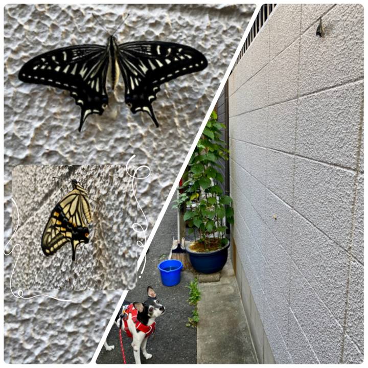 0927546c 68b0 4d99 8bc1 6a31b9c0b333 1623278251099