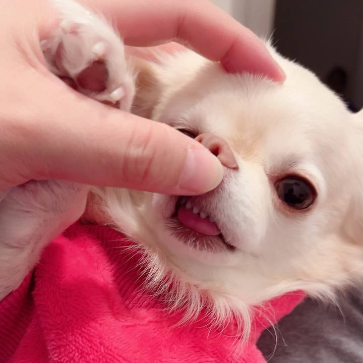 0927625f 397e 4386 90b5 58396be40450 1734151922249