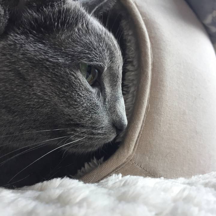 09277fd6 4fb9 4c2d 960f f163bd8e9cc0 1542616622525