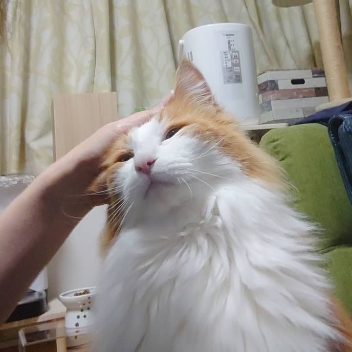 0927856e 5f78 43c9 9105 d4ae67199e83 1650806995009