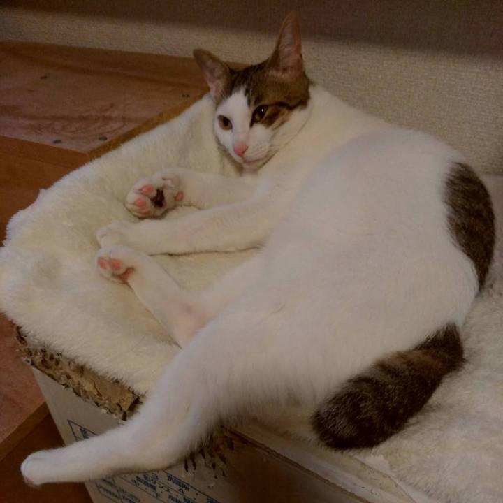 0927dd3b b004 4416 bcbb 9462cab58b83 1659873609239