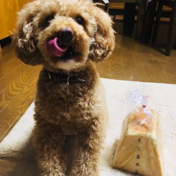 0927e599 d39d 47bb 894d 6ed3e2c49fa3 1527936904120