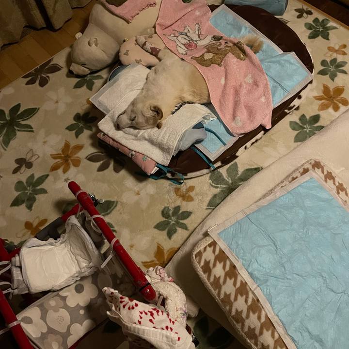 0927e6df f218 4309 93f6 69343dd3f731 1688740413925