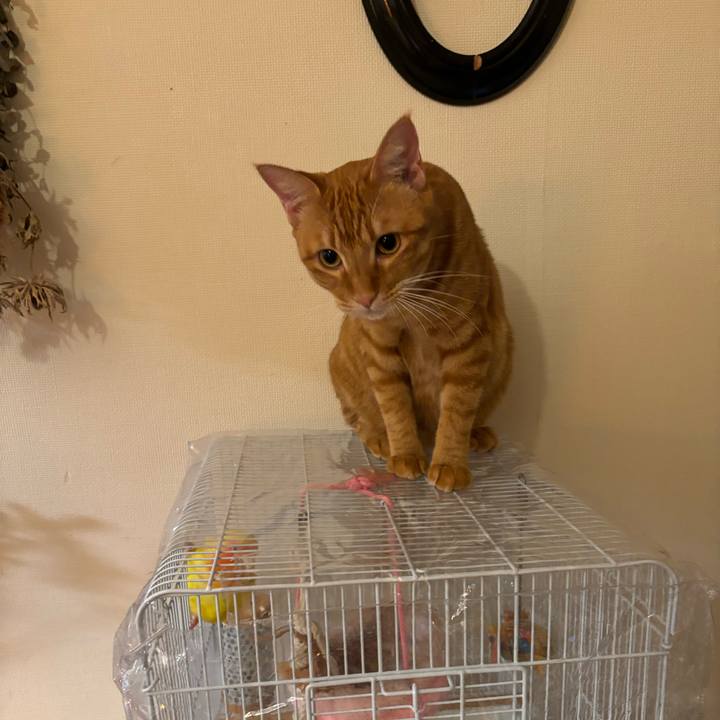 0927f4d4 a6fd 4cdb be8f 86ad6b2b802f 1697802555942