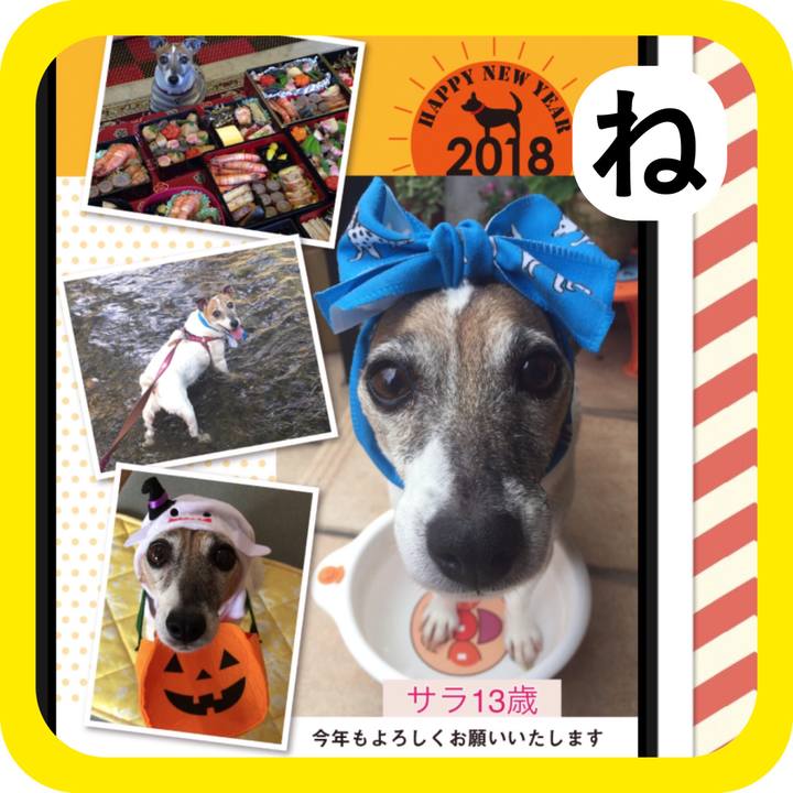 09280078 7145 4000 b0db 6a17af2421c0 1515129870127