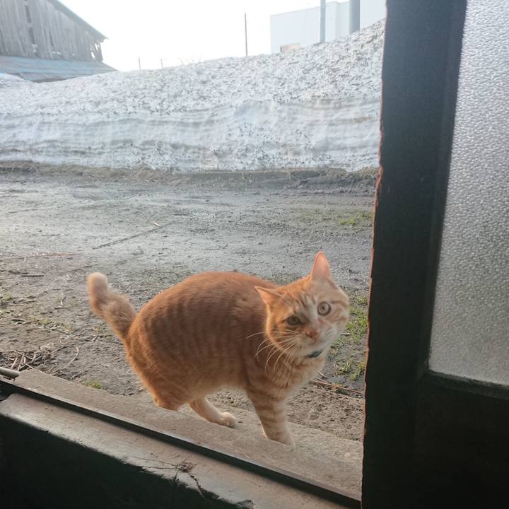 09284220 9ea6 4918 95e1 1e6293a19928 1647380022136