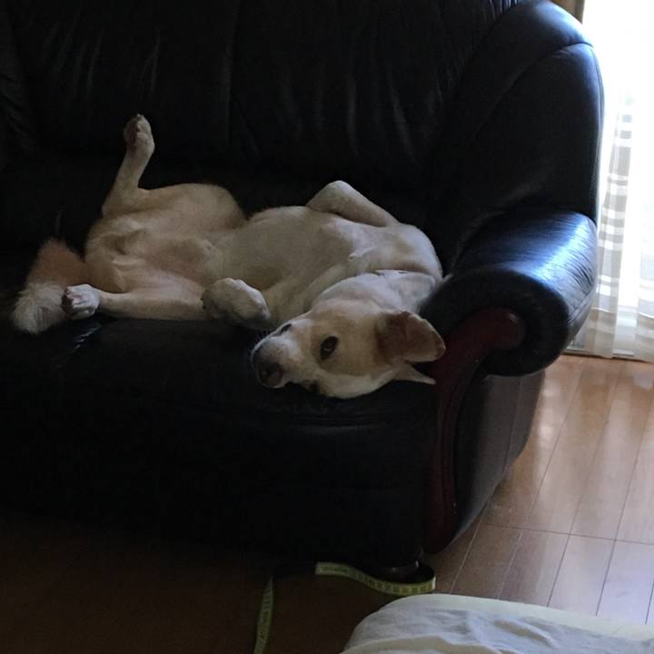 0928681d e109 4dbd bae0 3ab4dc00d8aa 1533018924690