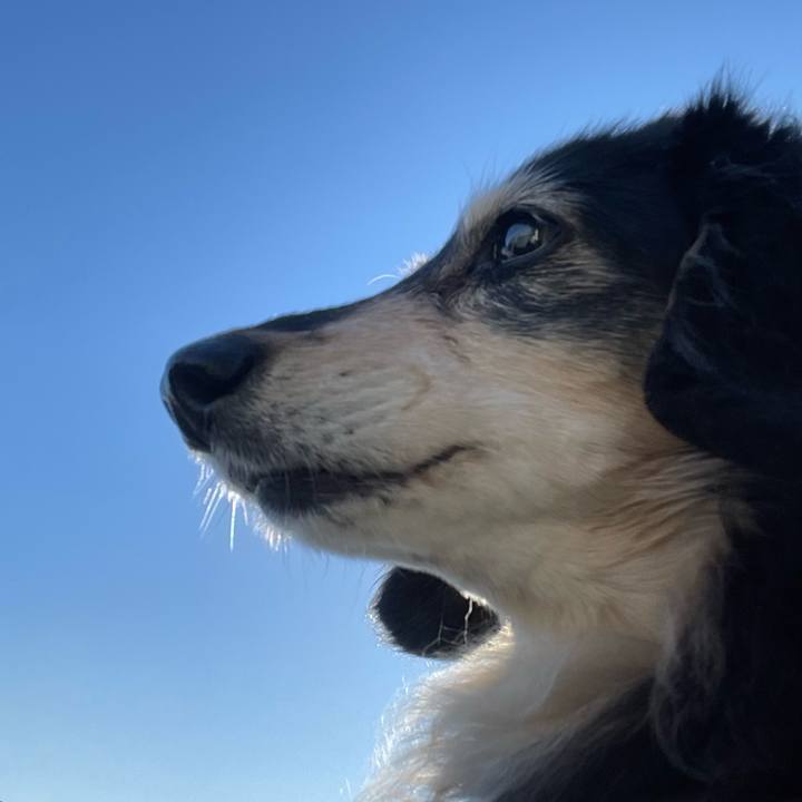 0928b390 d1c4 473c a984 20261dbf4611 1732148356040