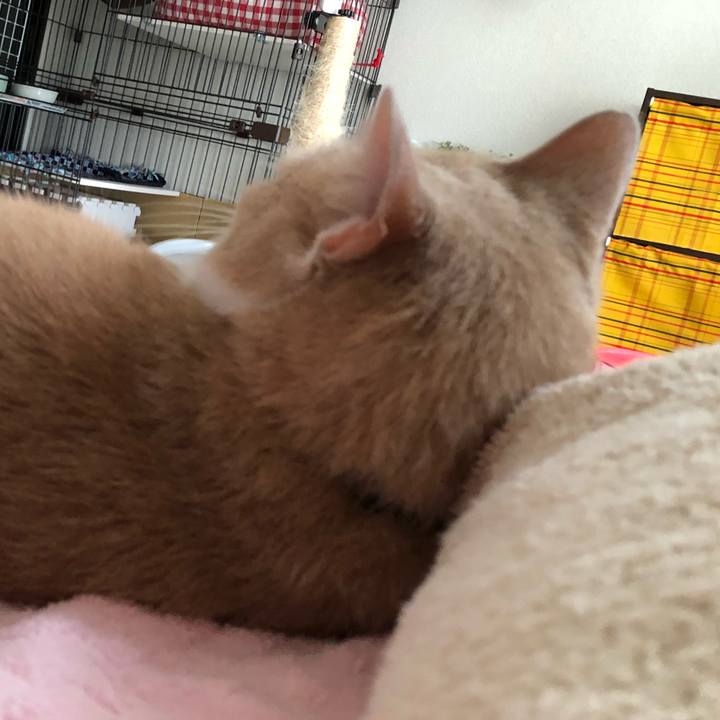 0928b7d3 4f40 4b16 98ca 03b9298be904 1530403116972