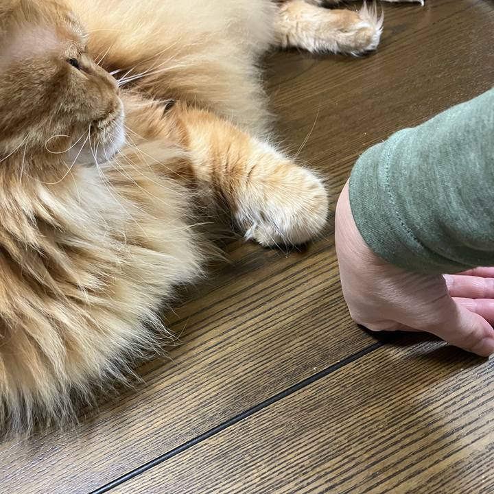 0928d664 31ab 409f a176 525dcbabc786 1768598653348