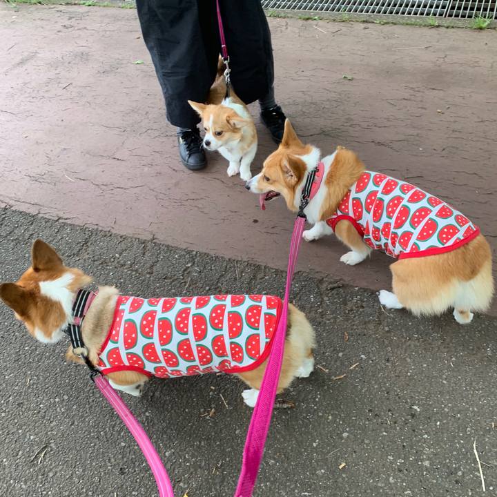 09291a28 ce6f 4eb5 ae8c 9893bd322bd8 1562584123126