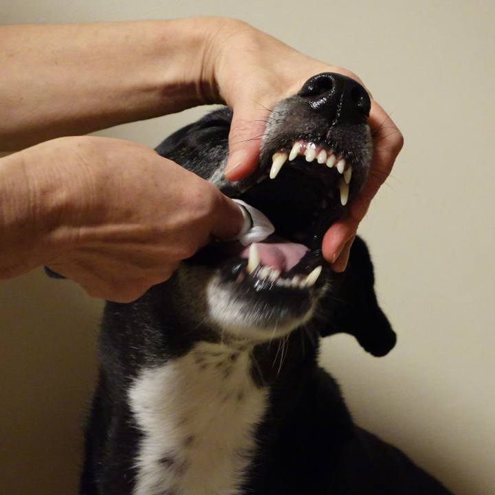 09292eb8 f83a 470b 8a24 e95d33d5d06b 1730247972434