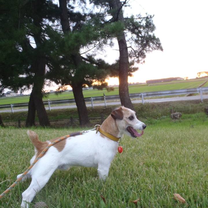 09298a75 621c 40e9 bffd 823f9282f51b 1526374663965