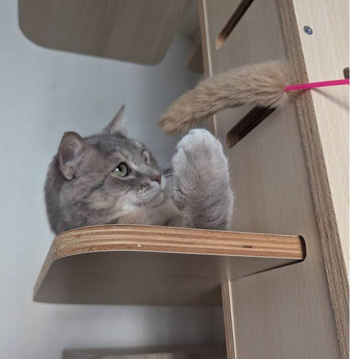 0929a5f2 90e7 4161 80db 3234bc85aeb6 1733126163483