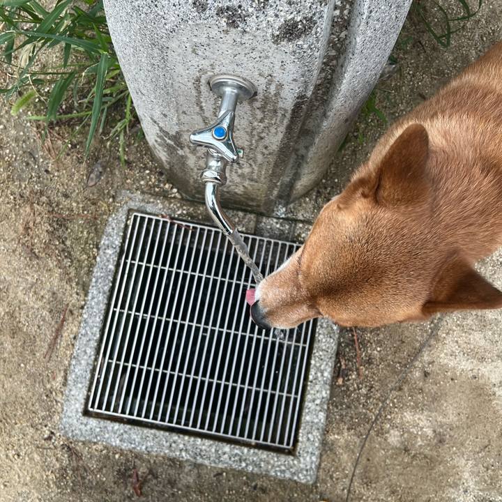 0929af62 8f60 4ba3 98e0 6f80ba6e23a2 1754781274522