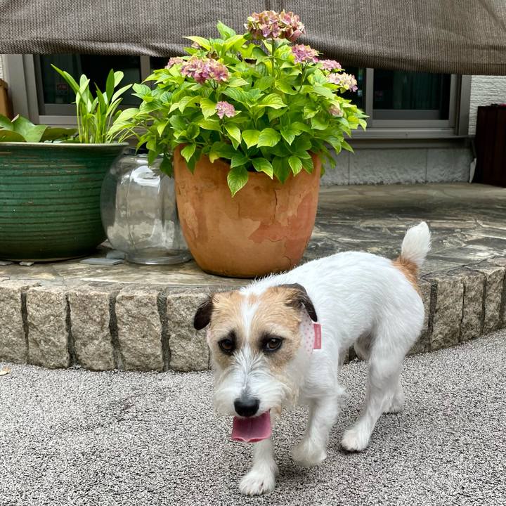 0929c521 f676 42fc 9cfe f81cbd18fb31 1656925094579