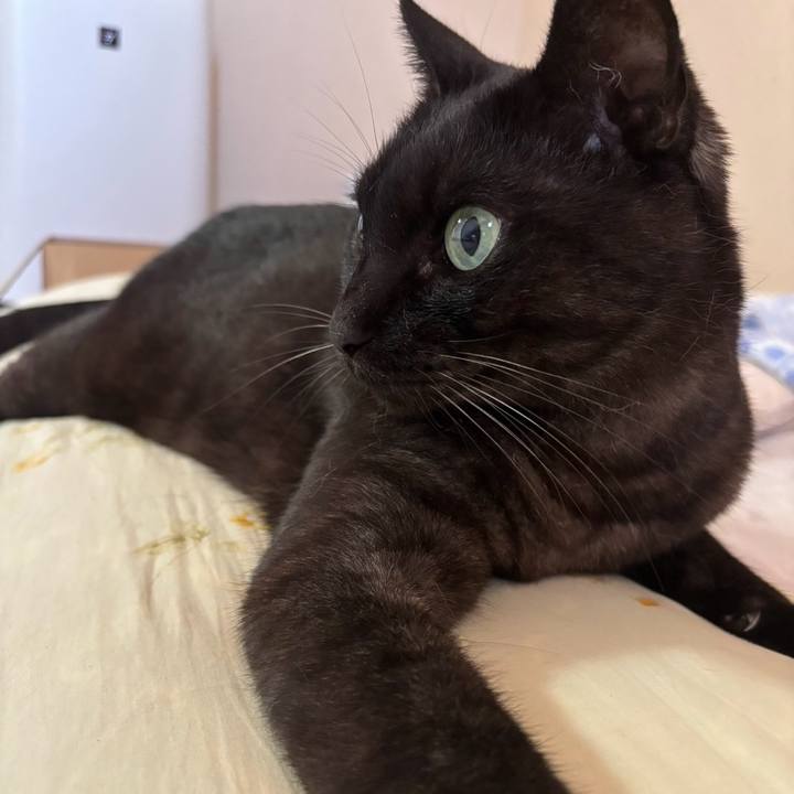 0929d33c daed 4766 bad1 e674857df30d 1759020365153