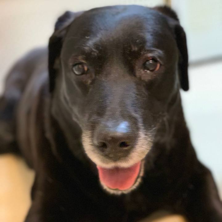 0929e795 3a2f 4964 8292 ac2bf0784639 1553471154291