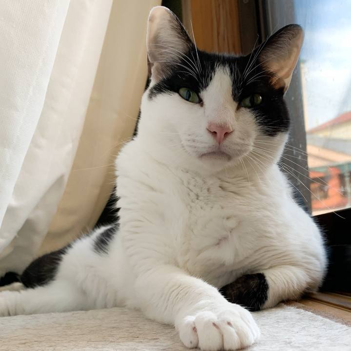 0929f4fe 33d7 4562 a321 6aa670e5eaaf 1570588608695