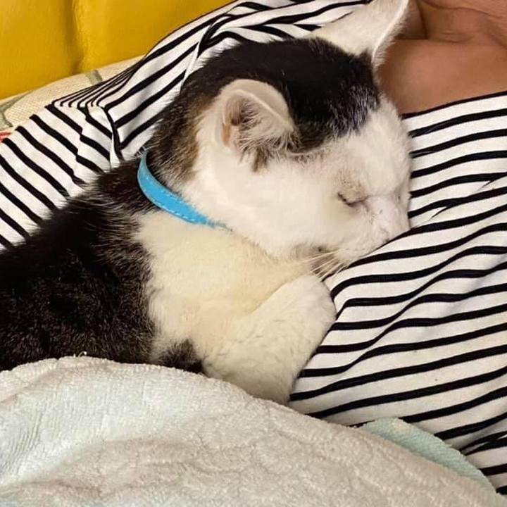 0929f930 52d7 49c1 8cdb 76caeadc17e4 1634470819284