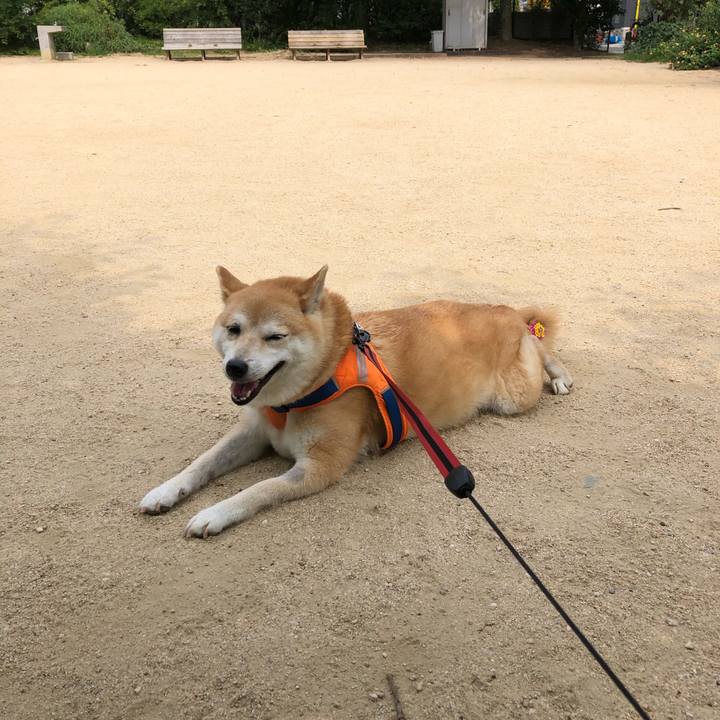 092a0afd 12f3 4aec b035 57c8b3e457f8 1561079394420