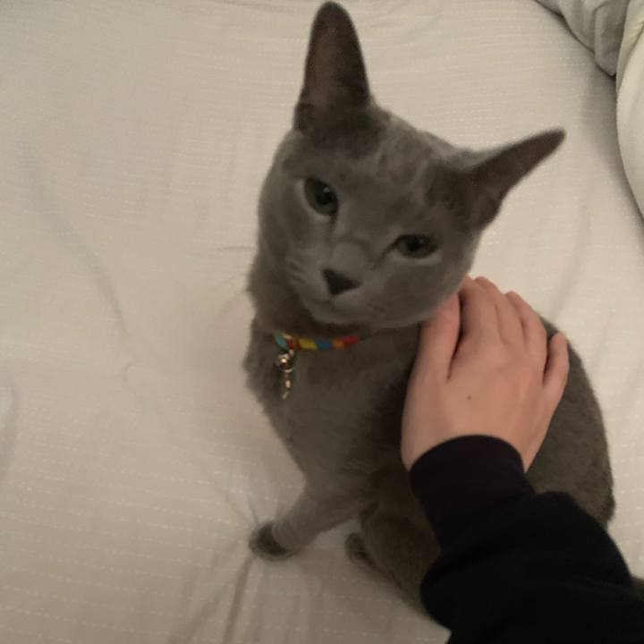 092a46c3 3233 4f48 8719 cc398d1a0d2f 1638062548617