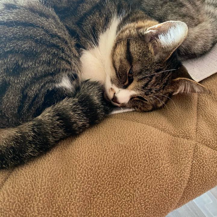 092a57ac 671b 4bb7 818d a61b9a9c78a1 1614319991828