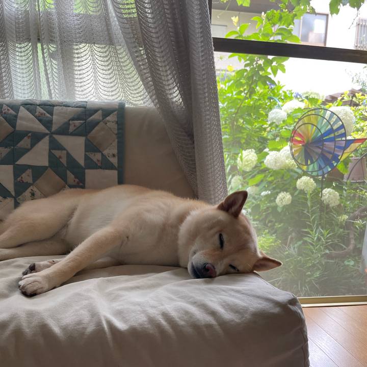 092a60b7 3173 4e7d 9bf4 e524df3dcbce 1687311925785