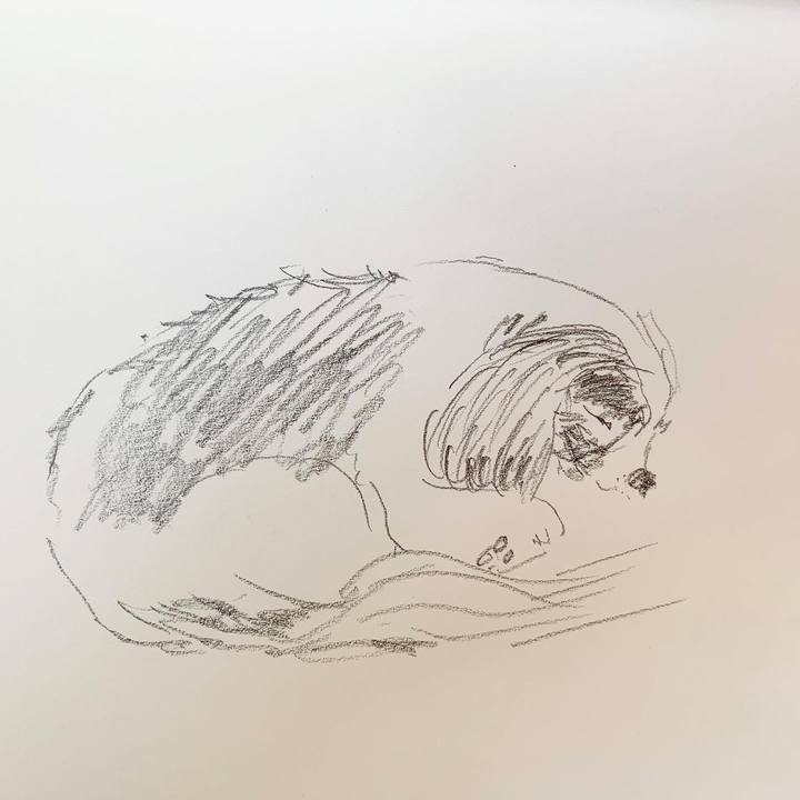 092a7832 0a16 40ca ba5c 31b5694f7c21 1581467344436