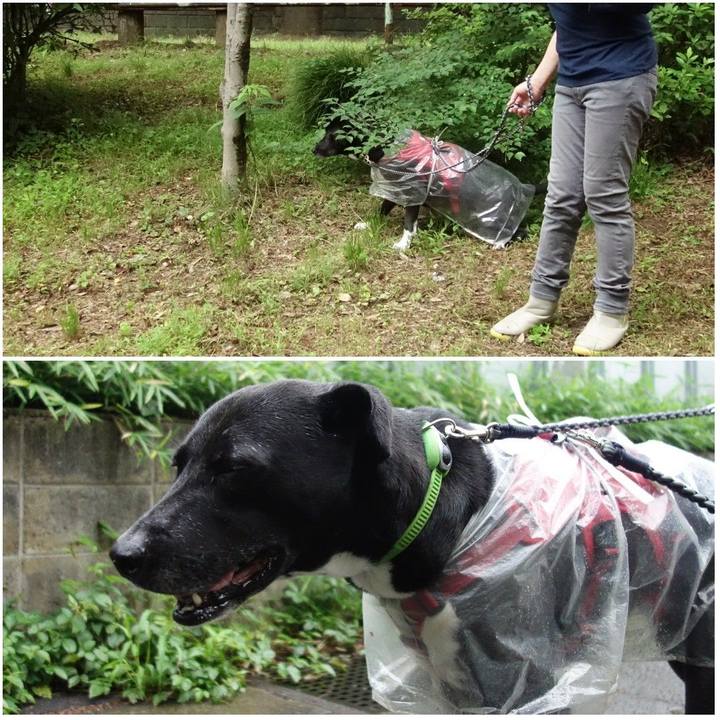 092a9307 9759 45c1 9ed4 636cab0f0818 1622072786585