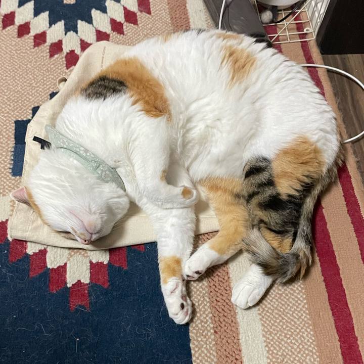 092a9df7 50d0 4488 a4c5 4be2462a4b71 1684763207475