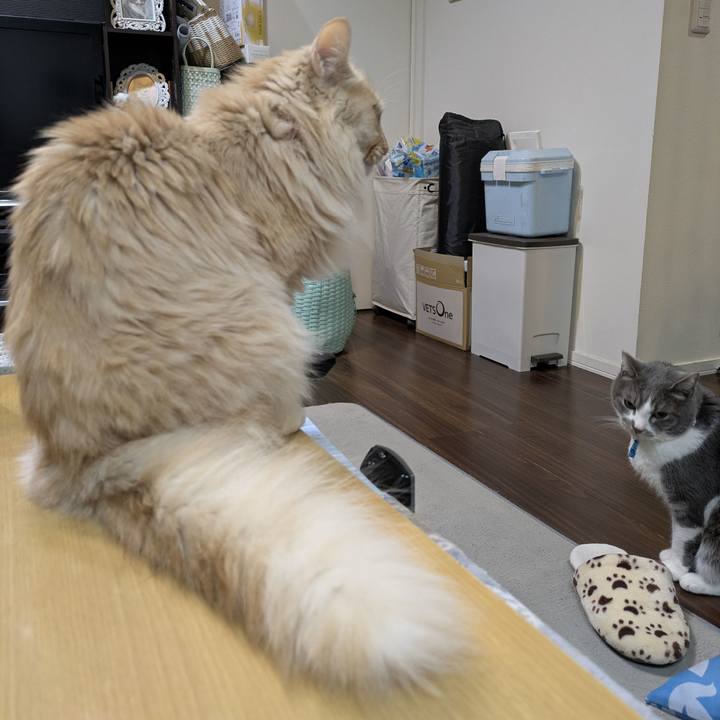 092aa257 496c 4d2d 86fe 45c56a45d6e1 1770988439164