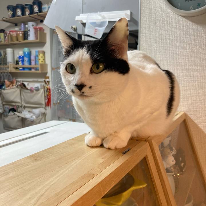 092ab5dc 9114 43b8 a380 5e9d8ca59dc2 1774385462253