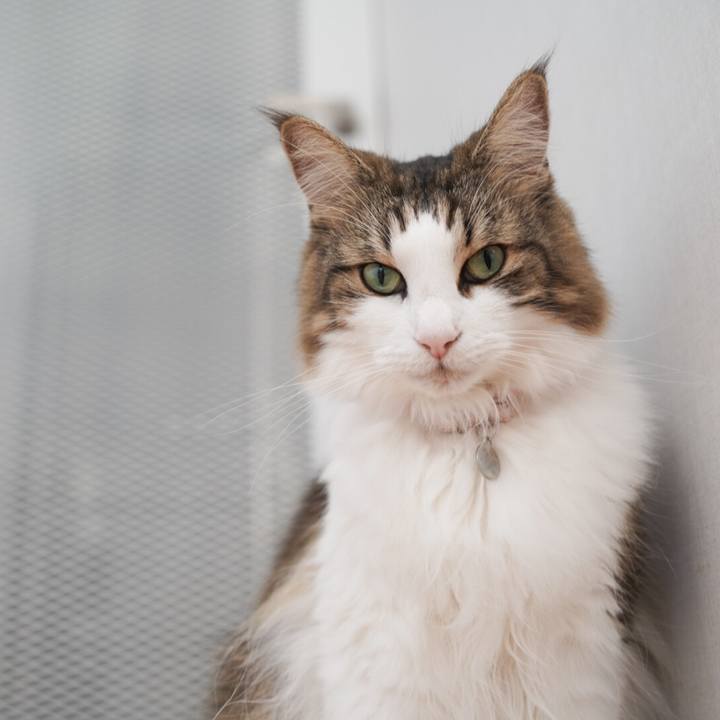 092ab8ab bfc3 4787 b644 d073bd336c90 1600674782943