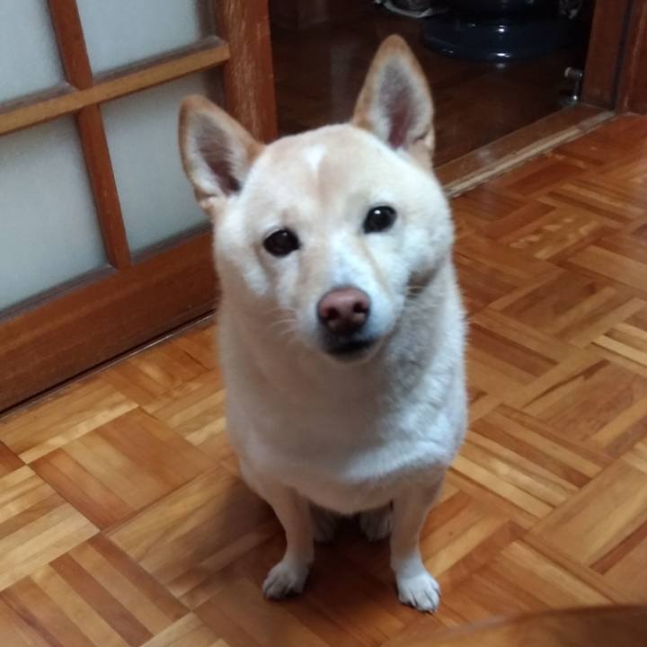 092b092d 39c6 44a9 93a2 c5c9835807fa 1605738238548