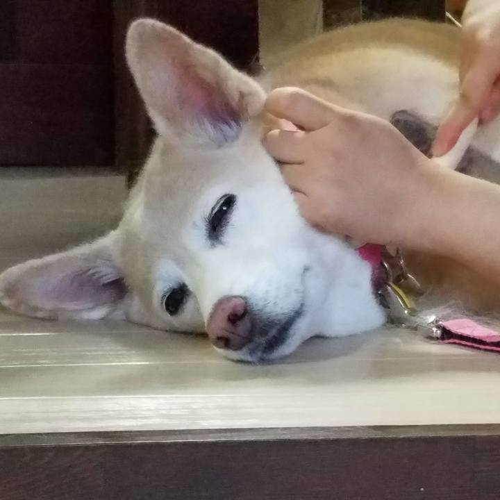 092b7536 7cda 4ec2 8e83 4f9328dba55d 1568017975719