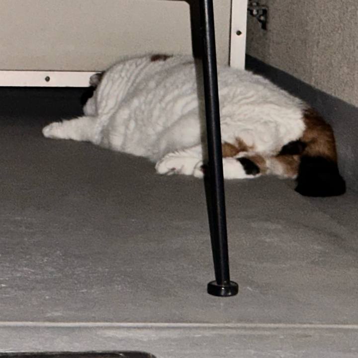 092bdb85 6eb7 4e92 96ba 301d9f7c5d41 1694131099586