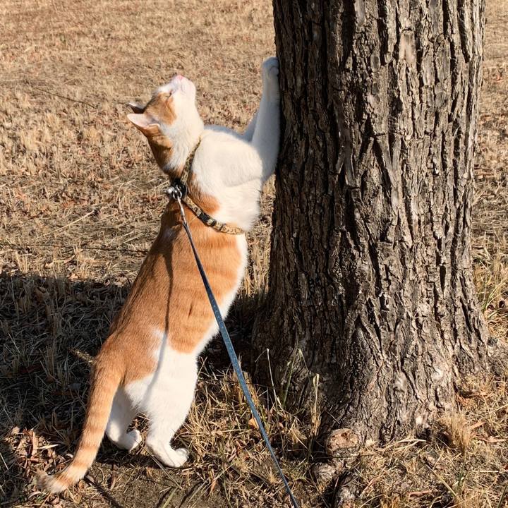 092bebc7 7461 42a7 9ebb dd57ad7a1894 1612151459238