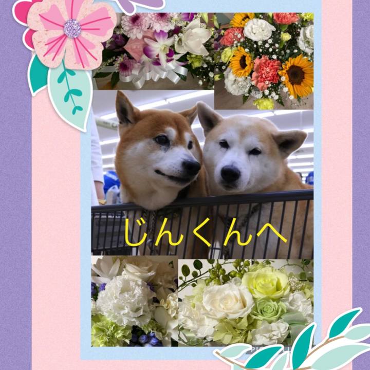 092bf550 05a8 4319 89e7 66a34a805231 1631644402362