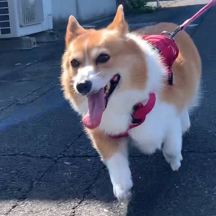 092c0d83 47c6 4315 ac7d c56f69be16e5 1664672780794