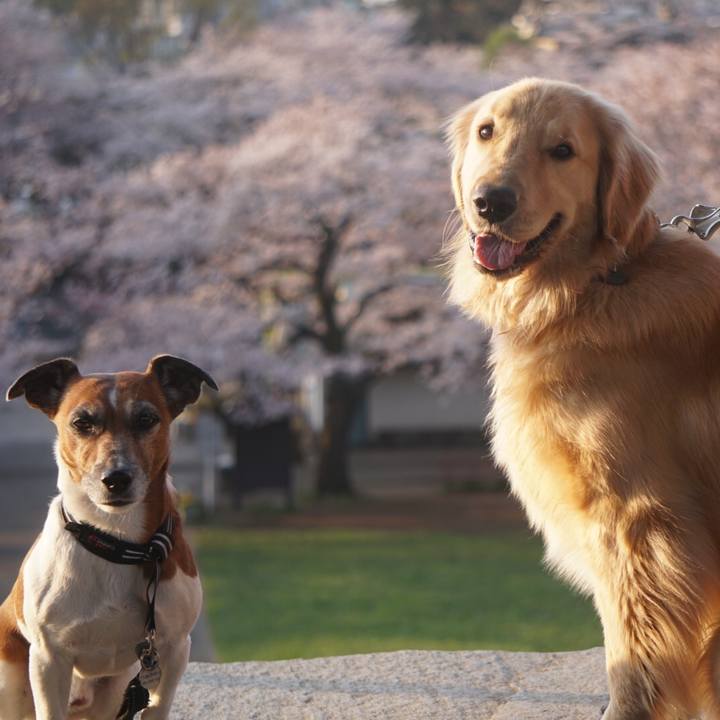 092c198c eb5c 4236 9f93 0bf1b596e35d 1616972214061